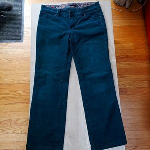 Gently worn Prana corduroys in luscious forest green.